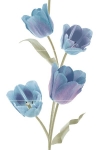 Панно Tulips Frios (из 3-х плиток) 