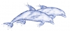 Декор DeepBlue Дельфин (DB2G051D) 