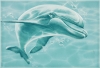 Декор Лагуна 7ДФ606 Дельфин
