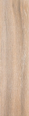 Фрегат коричневый обрез SG701400R