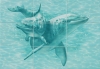 Панно Лагуна ПН76Д Дельфины (из 9 плиток)
